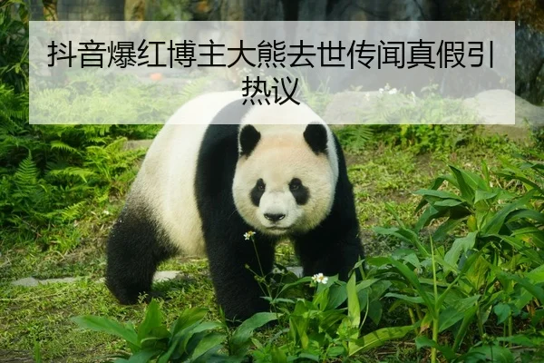 dou-yin-bao-hong-bo-zhu-da-xiong-qu-shi-chuan-wen-zhen-jia-yin-re-yi-2-180.jpg