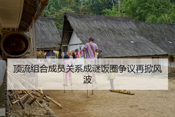 顶流组合成员关系成谜饭圈争议再掀风波